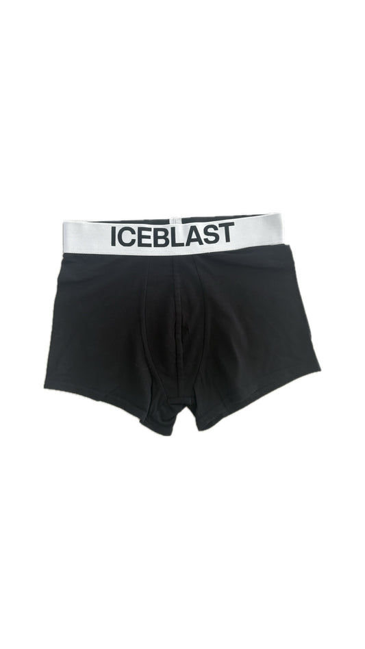 EXPOSE Briefs